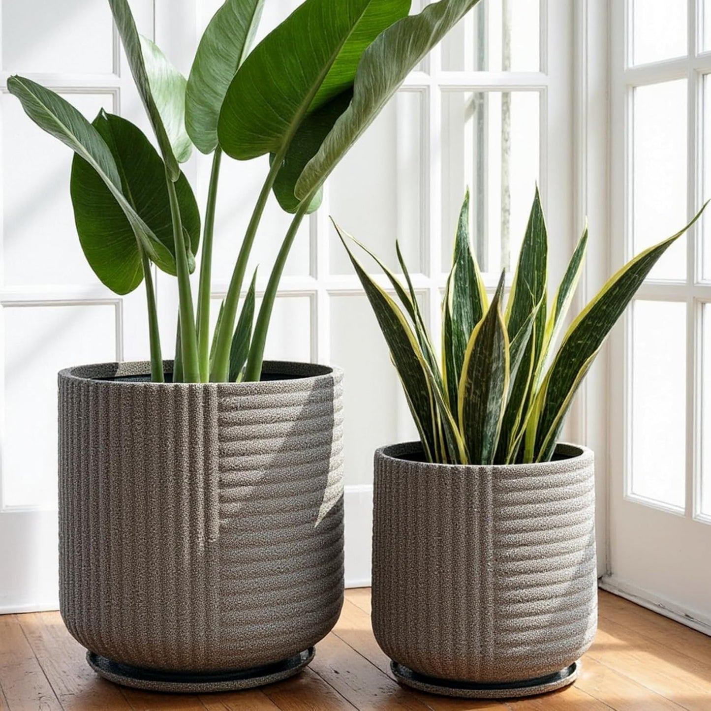 Seed Planter  Set of 2