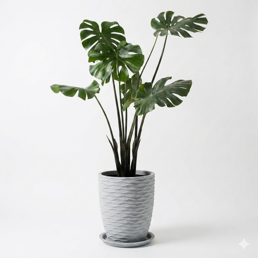 Waves Planter