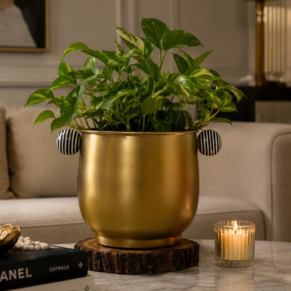 Luna Planter